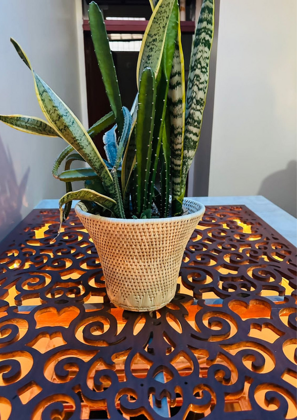 Hand Woven Planters Basket